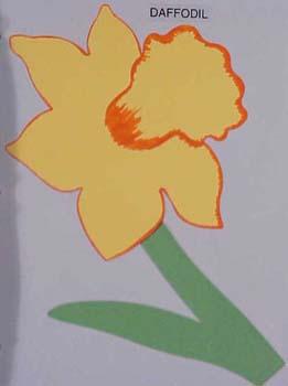 daffodilXL.jpg