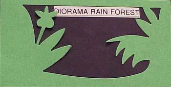 dioramarainforest.jpg