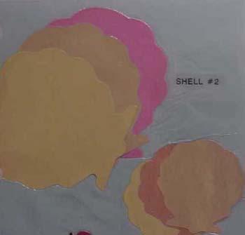 shell2.jpg