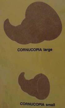 cornucopia.jpg