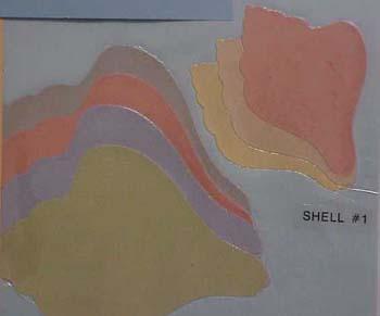 shell1.jpg