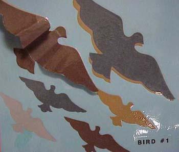 bird1.jpg