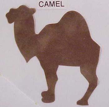 camel.jpg