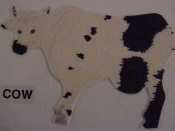 cow.jpg