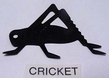 cricket.jpg