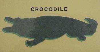 crocodile.jpg
