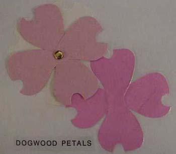 dogwoodpetals.jpg