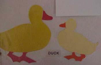 duck.jpg