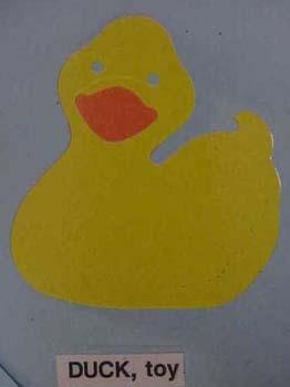 ducktoy.jpg