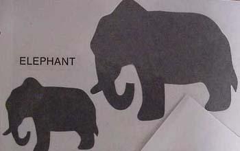 elephant.jpg