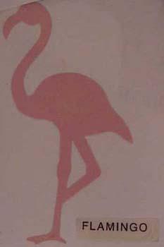 flamingo.jpg