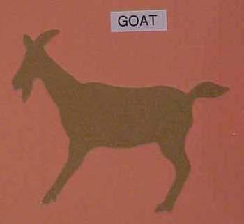 goat.jpg