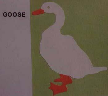 goose.jpg