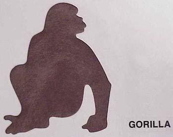 gorilla.jpg