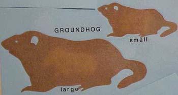 groundhog.jpg