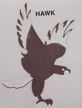 hawk.jpg
