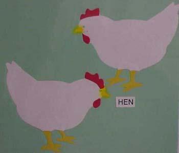 hen.jpg