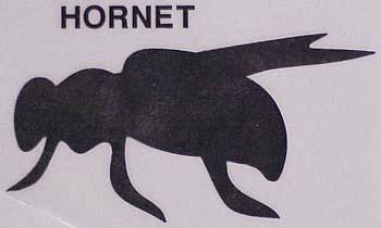 hornet.jpg