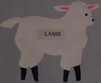 lamb.jpg