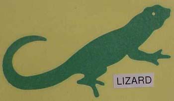lizard.jpg