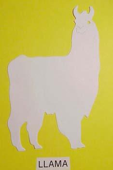 llama.jpg