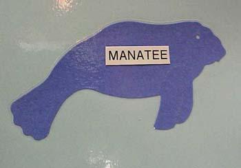manatee.jpg