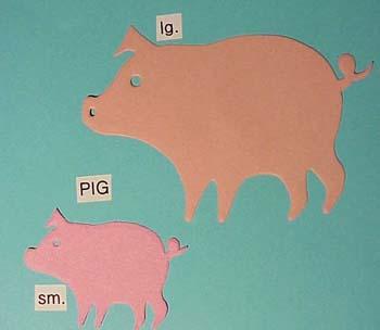 pig3.jpg