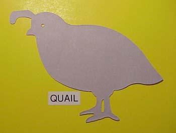 quail.jpg