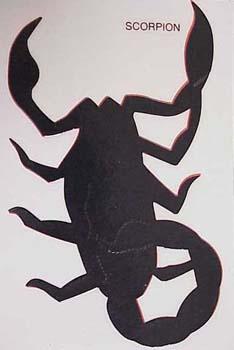 scorpionXL.jpg