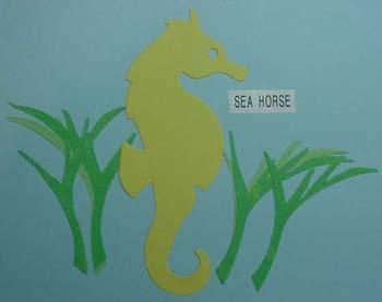 seahorse.jpg
