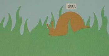 snail.jpg