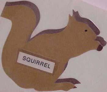squirrel.jpg
