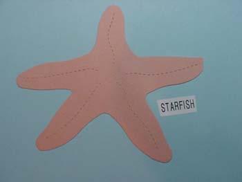 starfish.jpg