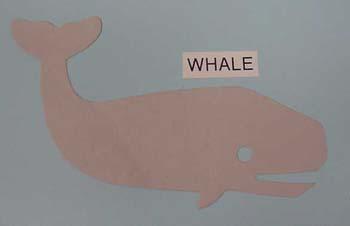 whale.jpg