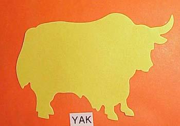 yak.jpg