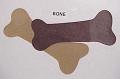 bone