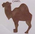 camel
