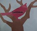 cardinal