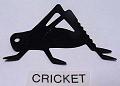 cricket
