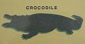 crocodile
