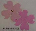 dogwoodpetals