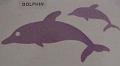 dolphin