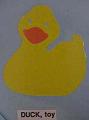 ducktoy