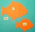 fish5