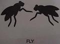 fly