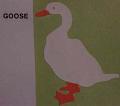 goose