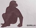 gorilla