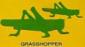 grasshopper