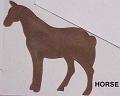 horse
