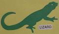 lizard